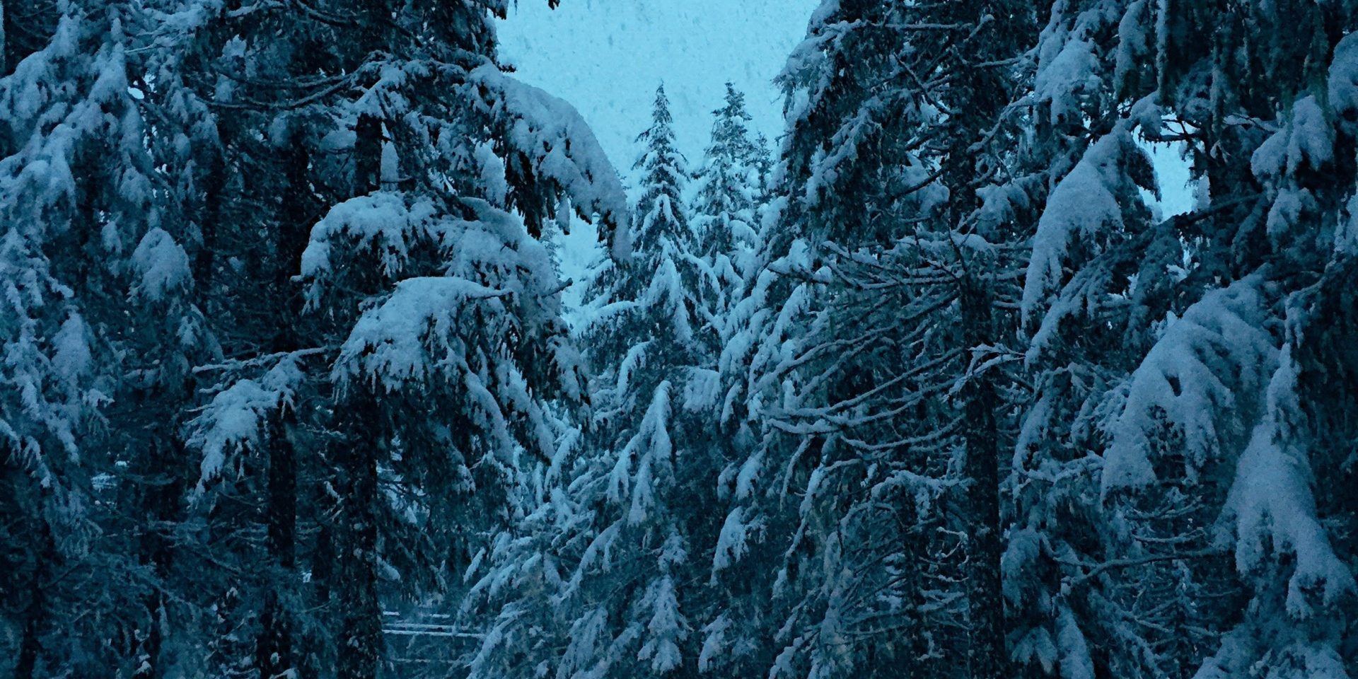 οι αλυσίδες ή τα χιονολάστιχα