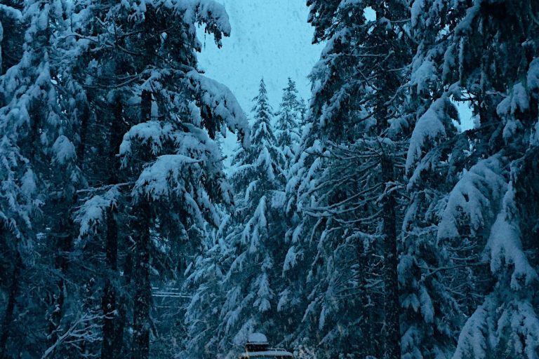 οι αλυσίδες ή τα χιονολάστιχα