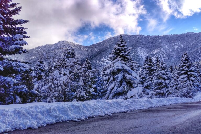 Αρκαδία - Odigein